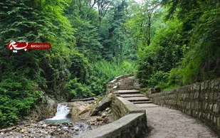 شکارچیان غیرمجاز به پاکسازی زیستگاه&zwnj;های گلستان محکوم شدند
