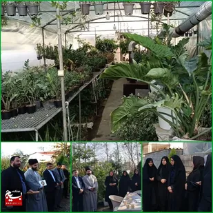 افتتاح طرح پرورش گل و گیاه در نوشهر