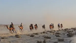 مسابقه شتر دوانی جنوب شرق کشوردربندرجاسک