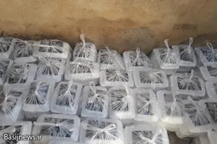 پخت و توزیع ۱۰۰۰ پرس غذا بین نیازمندان توسط حوزه شهیدان بهادربیگی همدان