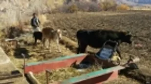 تولید گاز از پسماندها برای اولین بار در کشور