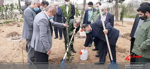 غرس ۱,۰۰۰,۰۰۰ نهال پرثمر و صنعتی در مازندران / آمادگی سپاه کربلا برای تولید ۵ میلیون نهال در سال