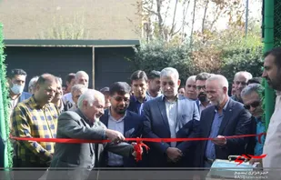 تقویت ورزش همگانی و قهرمانی از برنامه&zwnj;های اولویت&zwnj;داری مدیریت شهری است