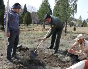 ۳۵۰۰ اصله نهال در پادگان مهندسی بروجرد غرس شد
