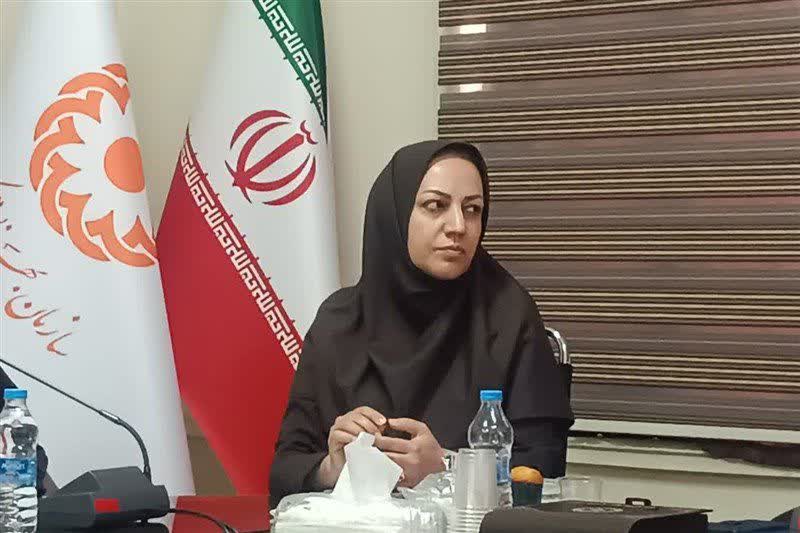 تأکید بهزیستی مرکزی بر حمایت پایدار از خانواده‌های دارای چندقلو