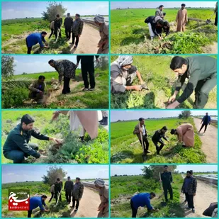 کاشت ۴۵ اصله نهال در چهل و پنجمین سالگرد انقلاب اسلامی ایران در شوش
