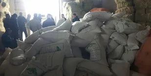 کشف احتکار 235 تُن نهاده دامی در اصفهان