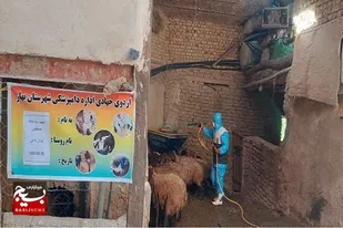 برگزاری اردوی جهادی دامپزشکی در روستای قیدلی بلاغی صالح آباد