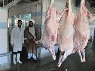 نظارت ۳۲ اکیپ دامپزشکی لرستان بر ذبح بهداشتی دام&zwnj;ها در عید قربان