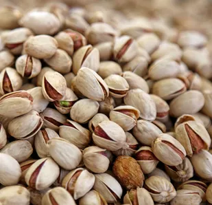 تولید ۹۰ تن پسته در ایلام