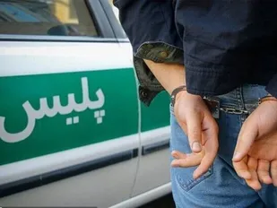 طرح امنیت محله محور در ایلام اجرای می شود