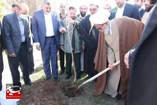 امامان جمعه شیعه و اهل سنت کرمانشاه نهال دوستی کاشتند