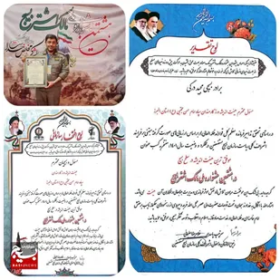 مدیرکل حفاظت محیط زیست استان البرز جایزه ملی مالک اشتر بسیج کسب کرد