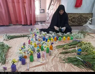 تهیه و توزیع گلدان های ( تو ریحانه خلقتی ) بین دختران ساحل چالوس