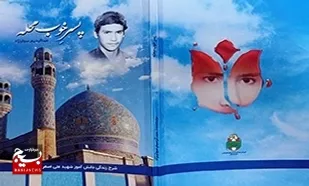 معرفی کتاب؛
&laquo;پسر خوب محله&raquo;