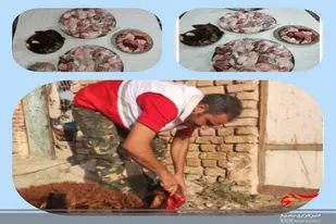 یک راس گوسفند در سرخه قربانی شد