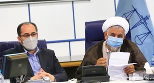 برخورد قضایی با دستگاه های کم کار در حوزه احیا حقوق عامه