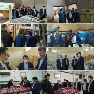 بازدید مدیر اداره تعاون، کار و رفاه اجتماعی از کارگاه ها و کارخانجات شوشتر