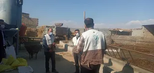 اعزام گروه جهادی دامپزشکی بسیج مهندسین کشاورزی شاهرود به روستای یونس آباد+ تصاویر