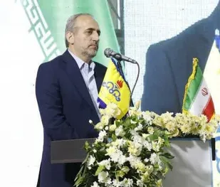 اجرای فاز دوم پروژه انتقال گاز از دشتک زابل - نهبندان به سربیشه مصوب شد