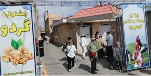 ظرفیت&zwnj;های کشاورزی تفرش در قاب جشنواره گردوی روستای طاد