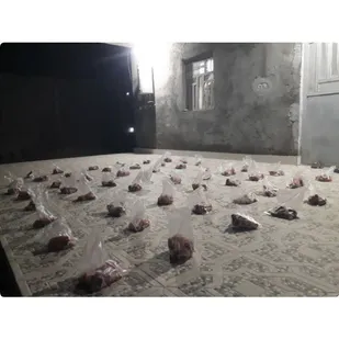 توزیع&zwnj;۶۶&zwnj;بسته&zwnj;گوشت&zwnj;قرمزبین&zwnj;نیازمندان&zwnj;درجغین&zwnj;رودان