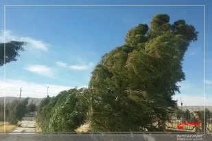 وزش باد شدید با سرعت ۱۳۷ کیلومتر بر ساعت در اردبیل