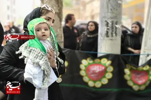 همایش شیرخوارگان حسینی در شهرستان ملایر برگزار شد