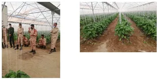 برگزاری چهارمین دوره مهارت آموزی گلخانه