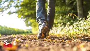 ساده&zwnj;ترین نسخه برای طول عمر باکیفیت