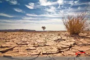 کاهش ۶۵۰ هزار تنی تولید محصولات کشاورزی