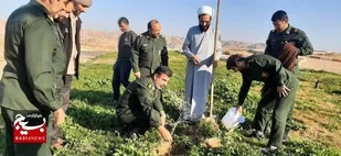 کاشت ۴۵ اصله نهال در گتوند (گزارش تصویری)