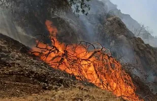 هشدار وقوع حریق در جنگل&zwnj;ها و مراتع استان گلستان/ آماده&zwnj;باش کامل نیروهای امدادی