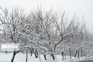 آغاز بارش برف از شنبه در آذربایجان&zwnj;غربی
