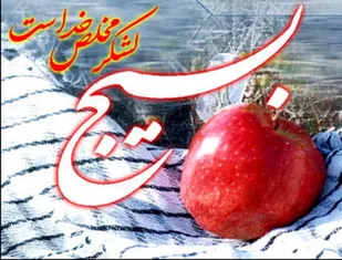 بسیج مانعی بزرگ در برابر نفوذ دشمن باشد