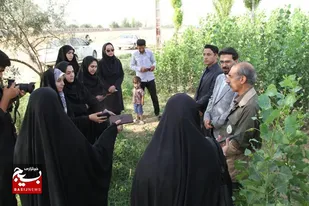 همدان رتبه سوم کشور را در طرح کاشت یک میلیارد درخت کسب کرد