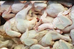 معدوم&zwnj;سازی ۶۰۰ کیلوگرم مرغ فاسد در نهاوند