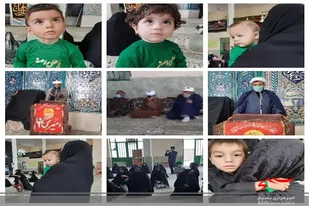 برگزاری همایش شیر خوارگان در هیرمند