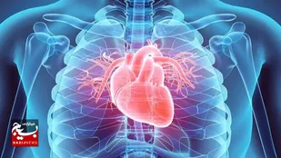 ۵ عادت روزمره&zwnj;ای که آرام آرام جان شما را می&zwnj;گیرند