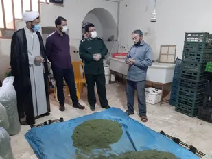 بازدید از کارگاه صنایع تبدیل محصولات باغی عقابکوه در اسلامیه