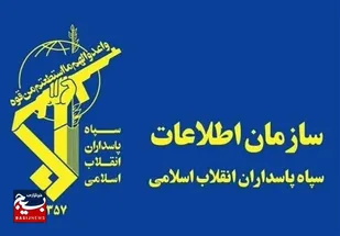 شبکه اخلال&zwnj;گر نظام اقتصادی در اردبیل متلاشی شد