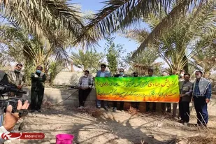 رزمایش مقتدرانه جهادی بسیج در شهرستان خنج برگزار شد
