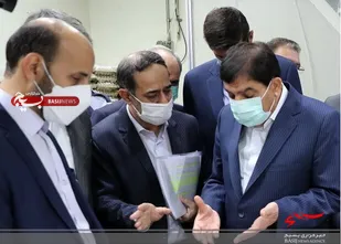 قیمت مرغ منجمد ۵ هزار تومان کاهش می&zwnj;یابد