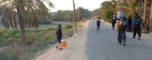 عطر خاک و شور عشق