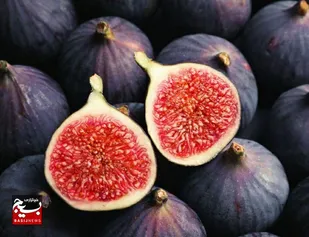 باغات لرستان رکورددار تولید انجیر سیاه در ایران