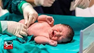 تپیدن نفس زندگی، توسط مرکز نفس کردستان