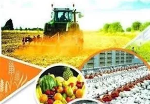 خروج کشور از مشکلات اقتصادی با جهش تولید ممکن می&zwnj;شود