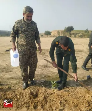 کاشت ۱۵۰ اصله نهال در گتوند