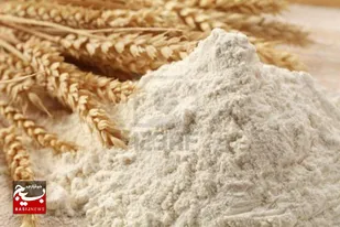 آمادگی برای گام سوم هوشمندسازی یارانه آرد و نان در کشور