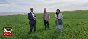 اجرای موفق رزمایش جهاد امنیت غذایی پایدار در ۲۵۰ روستای استان خراسان&zwnj;رضوی+فیلم و تصاویر